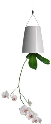 Sky Ceramic Planter by Boskke